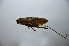  ( - 201803-10B)  @11 [ ] CreativeCommons - Attribution Share-Alike (2020) Zhi-jun Zhou Hebei University, Museum