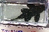  ( - JMK-003)  @13 [ ] Unspecified (default): All Rights Reserved  Unspecified Unspecified