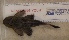  ( - JMK-006)  @12 [ ] Unspecified (default): All Rights Reserved  Unspecified Unspecified