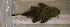  ( - JMK-010)  @13 [ ] Unspecified (default): All Rights Reserved  Unspecified Unspecified