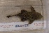  ( - JMK-011)  @13 [ ] Unspecified (default): All Rights Reserved  Unspecified Unspecified