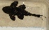  ( - JMK-013)  @12 [ ] Unspecified (default): All Rights Reserved  Unspecified Unspecified