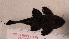  ( - JMK-020)  @13 [ ] Unspecified (default): All Rights Reserved  JMK Unspecified