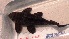  ( - JMK-021)  @12 [ ] Unspecified (default): All Rights Reserved  JMK Unspecified