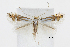  ( - CCDB-46114-C05)  @11 [ ] CC-BY-NC-SA (2024) Steven Whitebread private