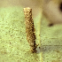 ( - CCDB-46114-H04)  @11 [ ] CC-BY-NC-SA (2024) Steven Whitebread private