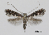  ( - CCDB-46115-A08)  @11 [ ] CC-BY (2023) Steven Whitebread private