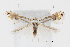  ( - CCDB-46115-G04)  @11 [ ] CC-BY (2023) Steven Whitebread private