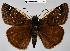  ( - CSG07335 VI BC)  @14 [ ] Unspecified (default): All Rights Reserved  Unspecified Unspecified