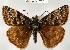  ( - CSG20043 SC BC)  @14 [ ] Unspecified (default): All Rights Reserved  Unspecified Unspecified