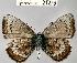  ( - CSG21276 C BC)  @13 [ ] Unspecified (default): All Rights Reserved  Unspecified Unspecified