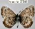  ( - CSG21332 NE BC)  @13 [ ] Unspecified (default): All Rights Reserved  Unspecified Unspecified