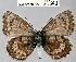  ( - CSG21343 NE BC)  @13 [ ] Unspecified (default): All Rights Reserved  Unspecified Unspecified