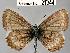  ( - CSG21344 NE BC)  @13 [ ] Unspecified (default): All Rights Reserved  Unspecified Unspecified