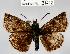  ( - CSG21412 NE BC)  @14 [ ] Unspecified (default): All Rights Reserved  Unspecified Unspecified
