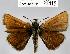  ( - CSG21415 NE BC)  @13 [ ] Unspecified (default): All Rights Reserved  Unspecified Unspecified