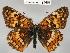  ( - CSG21497 NE BC)  @14 [ ] Unspecified (default): All Rights Reserved  Unspecified Unspecified