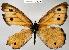  ( - CSG21520 NE BC)  @13 [ ] Unspecified (default): All Rights Reserved  Unspecified Unspecified