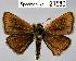  ( - CSG21580 NE BC)  @13 [ ] Unspecified (default): All Rights Reserved  Unspecified Unspecified