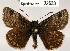  ( - CSG22633 C BC)  @13 [ ] Unspecified (default): All Rights Reserved  Unspecified Unspecified