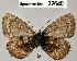  ( - CSG22640 C BC)  @13 [ ] Unspecified (default): All Rights Reserved  Unspecified Unspecified