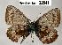  ( - CSG22641 C BC)  @13 [ ] Unspecified (default): All Rights Reserved  Unspecified Unspecified