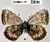  ( - CSG22695 C BC)  @13 [ ] Unspecified (default): All Rights Reserved  Unspecified Unspecified