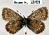  ( - CSG22706 C BC)  @13 [ ] Unspecified (default): All Rights Reserved  Unspecified Unspecified