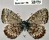  ( - CSG22733 C BC)  @13 [ ] Unspecified (default): All Rights Reserved  Unspecified Unspecified