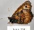  ( - CSG22854 C BC)  @13 [ ] Unspecified (default): All Rights Reserved  Unspecified Unspecified