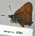  ( - CSG23002 CA WA)  @13 [ ] Unspecified (default): All Rights Reserved  Unspecified Unspecified