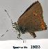  ( - CSG23033 CA WA)  @13 [ ] Unspecified (default): All Rights Reserved  Unspecified Unspecified