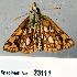  ( - CSG23111 NS)  @12 [ ] Unspecified (default): All Rights Reserved  Unspecified Unspecified