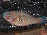  ( - JHLOW00265)  @13 [ ] Unspecified (default): All Rights Reserved  Unspecified Unspecified