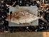  ( - JHLOW00297)  @13 [ ] Unspecified (default): All Rights Reserved  Unspecified Unspecified