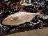  ( - JHLOW00298)  @14 [ ] Unspecified (default): All Rights Reserved  Unspecified Unspecified