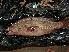  ( - JHLOW00300)  @12 [ ] Unspecified (default): All Rights Reserved  Unspecified Unspecified