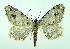  ( - DH000408)  @13 [ ] CreativeCommons - Attribution (2010) Unspecified Centre for Biodiversity Genomics