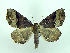  ( - DH001523)  @13 [ ] CreativeCommons - Attribution (2010) Unspecified Centre for Biodiversity Genomics