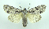  ( - DH002117)  @14 [ ] CreativeCommons - Attribution (2010) Unspecified Centre for Biodiversity Genomics