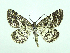  ( - DH002941)  @14 [ ] CreativeCommons - Attribution (2010) Unspecified Centre for Biodiversity Genomics
