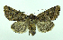  ( - DH003171)  @14 [ ] CreativeCommons - Attribution (2010) Unspecified Centre for Biodiversity Genomics