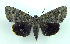  ( - DH003347)  @14 [ ] CreativeCommons - Attribution (2010) Unspecified Centre for Biodiversity Genomics