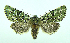  ( - DH004319)  @14 [ ] CreativeCommons - Attribution (2010) Unspecified Centre for Biodiversity Genomics