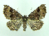  ( - DH004614)  @12 [ ] CreativeCommons - Attribution (2010) Unspecified Centre for Biodiversity Genomics