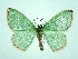  ( - DH004850)  @13 [ ] CreativeCommons - Attribution (2010) Unspecified Centre for Biodiversity Genomics