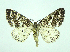  ( - DH004886)  @13 [ ] CreativeCommons - Attribution (2010) Unspecified Centre for Biodiversity Genomics