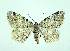  ( - DH005237)  @13 [ ] CreativeCommons - Attribution (2010) Unspecified Centre for Biodiversity Genomics