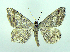 ( - DH005635)  @14 [ ] CreativeCommons - Attribution (2010) Unspecified Centre for Biodiversity Genomics