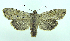  ( - DH006136)  @13 [ ] CreativeCommons - Attribution (2010) Unspecified Centre for Biodiversity Genomics